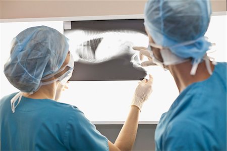 physicians in operating room - Veterinarians examining x-rays in office Stock Photo - Premium Royalty-Free, Code: 649-06001007