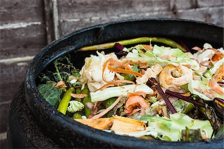 decaying - Close up of home compost bin Stock Photo - Premium Royalty-Free, Code: 649-06040085