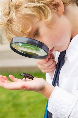 exam and boy - Boy examining bug with magnifying glass Foto de stock - Sin royalties Premium, Código: 649-06041775