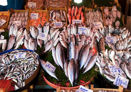 seafood food presentation - Fresh fish for sale, Galata bridge fish market, Istanbul, Turkey Stock Photo - Premium Royalty-Free, Code: 649-06113026