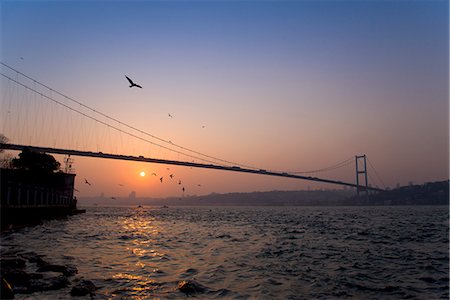 silhouettes birds - Oiseaux survolant pont sur la baie urbaine Photographie de stock - Premium Libres de Droits, Code: 649-06113027