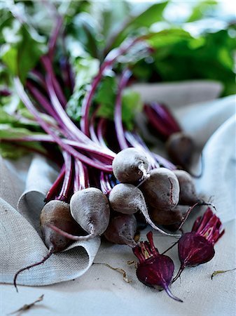 rote beete - Nahaufnahme von Bündel Radieschen Stockbilder - Premium RF Lizenzfrei, Bildnummer: 649-06113113