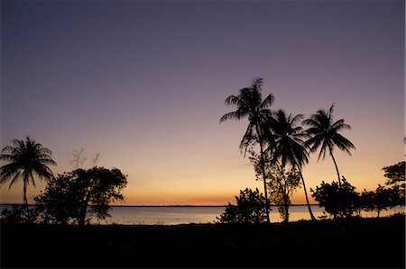 Silhouette de palmiers au coucher du soleil Photographie de stock - Premium Libres de Droits, Code: 649-06113221