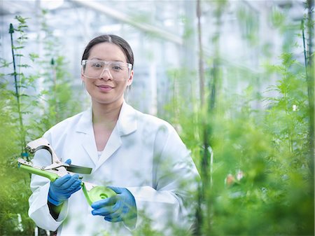 Scientist examining plant in greenhouse Foto de stock - Sin royalties Premium, Código: 649-06113314
