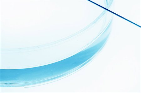 placa de petri - Close up of liquid in petri dish Foto de stock - Royalty Free Premium, Número: 649-06113702