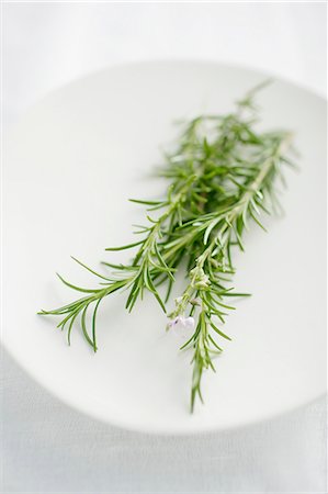 simsearch:649-03566435,k - Close up of plate of rosemary Foto de stock - Royalty Free Premium, Número: 649-06164341