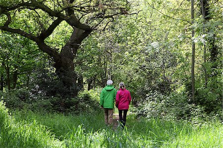 simsearch:649-06164557,k - Older couple walking in forest Fotografie stock - Premium Royalty-Free, Codice: 649-06164515