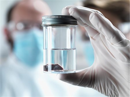 scientist watching - Close up of specimen in bottle in lab Stock Photo - Premium Royalty-Free, Code: 649-06164775