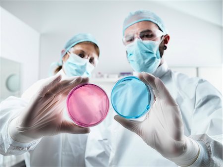 Scientists examining petri dishes in lab Foto de stock - Sin royalties Premium, Código: 649-06164778