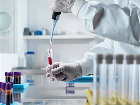 Scientist pipetting liquid in test tube Stock Photo - Premium Royalty-Free, Code: 649-06164771