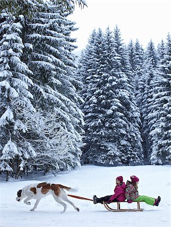 switzerland - Dog pulling children on sled in snow Stock Photo - Premium Royalty-Free, Code: 649-06164815