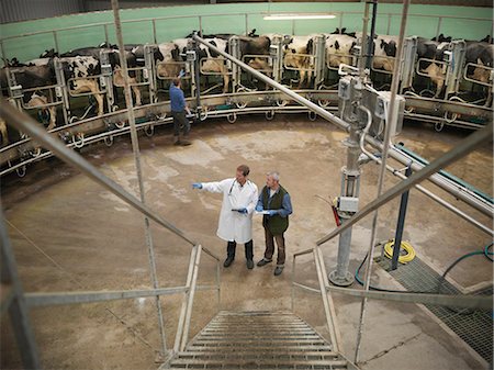 stafford - Farmer and vet talking in milking parlor Stock Photo - Premium Royalty-Free, Code: 649-06164952