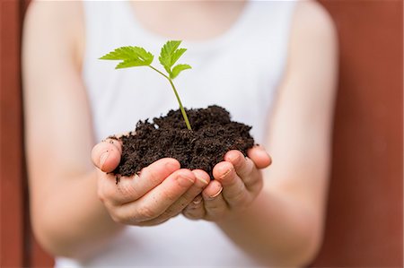 plant in soil - Girl holding seedling outdoors Stock Photo - Premium Royalty-Free, Code: 649-06305098