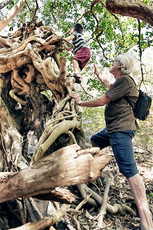 south africa forests - Older man and grandson climbing tree Stock Photo - Premium Royalty-Free, Code: 649-06305338