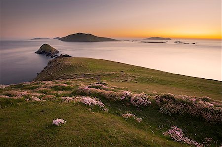 dingle bay - Sun setting over rural skyline Stock Photo - Premium Royalty-Free, Code: 649-06305378