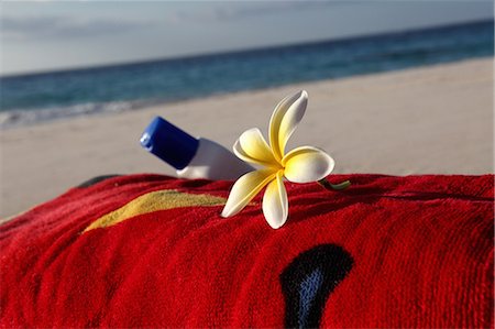 Flower and sunscreen on towel on beach Stock Photo - Premium Royalty-Free, Code: 649-06352698