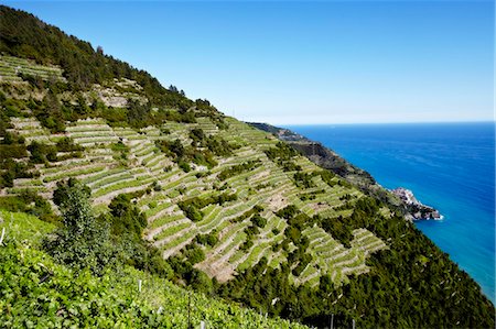 Aerial view of roads cut into hillside Stock Photo - Premium Royalty-Free, Code: 649-06352918