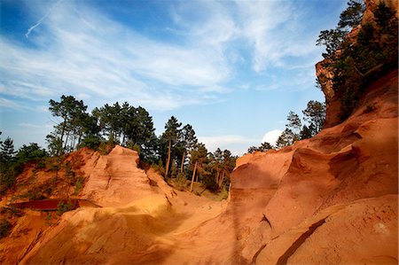 rugged sunlight - Trees growing on desert hills Stock Photo - Premium Royalty-Free, Code: 649-06352923