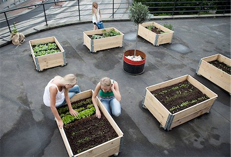 roof tops - Teenage girls working in plant boxes Stock Photo - Premium Royalty-Free, Code: 649-06352943
