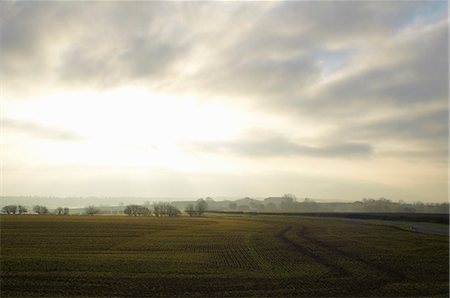 Cloudy sky over rural landscape Foto de stock - Sin royalties Premium, Código: 649-06353209
