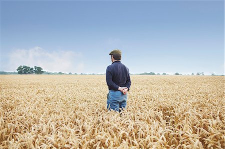 Farmer standing in field of wheat Foto de stock - Sin royalties Premium, Código: 649-06353298