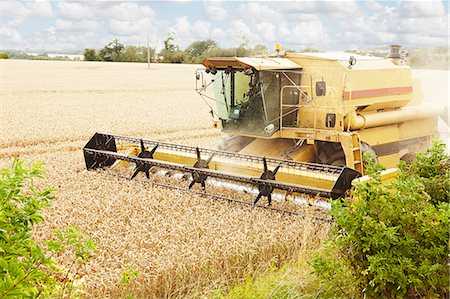 farmer in wheat field - Thresher working in crop field Foto de stock - Sin royalties Premium, Código: 649-06353307