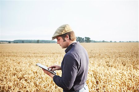 farmer - Farmer using tablet computer in field Stock Photo - Premium Royalty-Free, Code: 649-06353301