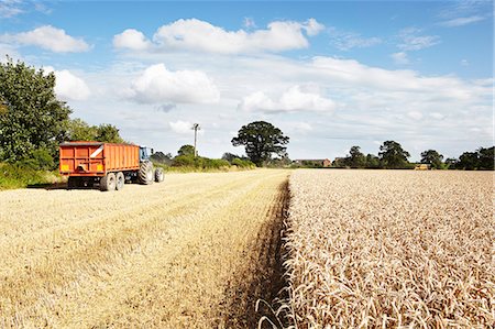 pictures of truck & blue sky and clouds - Tractor driving in harvested crop field Stock Photo - Premium Royalty-Free, Code: 649-06353310