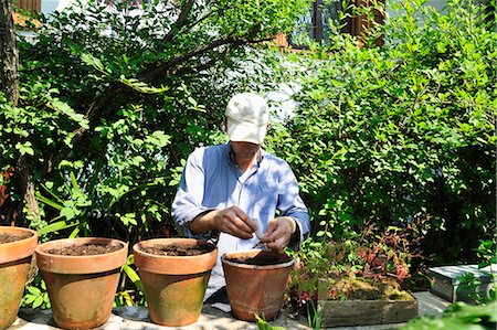 Man potting plants in backyard Foto de stock - Royalty Free Premium, Número: 649-06400479