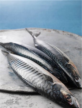 Fangfrische Fisch Makrele Stockbilder - Premium RF Lizenzfrei, Bildnummer: 649-06400601