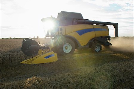 person farming wheat - Harvester working in crop field Stock Photo - Premium Royalty-Free, Code: 649-06400718