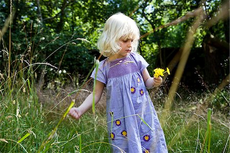 dandelion greens - Girl picking flowers outdoors Stock Photo - Premium Royalty-Free, Code: 649-06400728