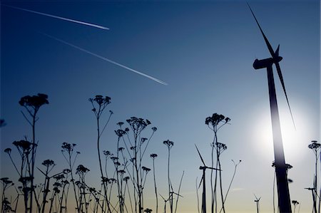 efficiency - Silhouettes of plants and wind turbines Stock Photo - Premium Royalty-Free, Code: 649-06400732
