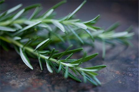 fresh rosemary - Close up of rosemary leaves Stock Photo - Premium Royalty-Free, Code: 649-06400774