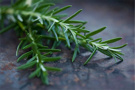 food europe - Close up of rosemary leaves Stock Photo - Premium Royalty-Free, Code: 649-06400775