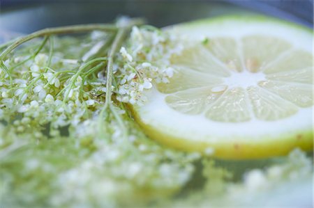 sugar - Close up of elderflower and lemon Stock Photo - Premium Royalty-Free, Code: 649-06400783