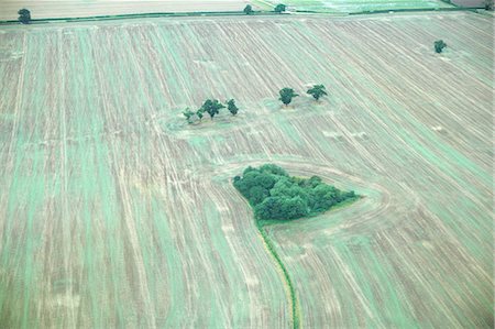 simsearch:649-06401191,k - Aerial view of tilled field with trees Foto de stock - Royalty Free Premium, Número: 649-06401186