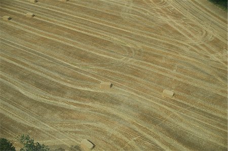 field crops harvest - Aerial view of tractor in crop field Stock Photo - Premium Royalty-Free, Code: 649-06401194