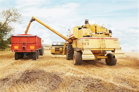 Tractor harvesting grains in crop field Stock Photo - Premium Royalty-Free, Code: 649-06401207