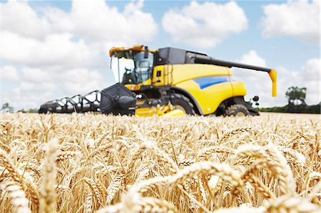 Harvester working in crop field Foto de stock - Sin royalties Premium, Código: 649-06401244