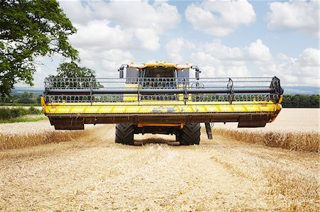 Harvester working in crop field Foto de stock - Sin royalties Premium, Código: 649-06401245