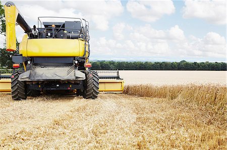 Harvester working in crop field Foto de stock - Sin royalties Premium, Código: 649-06401243