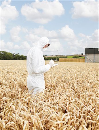 scientist - Scientist examining grains in crop field Stock Photo - Premium Royalty-Free, Code: 649-06401251