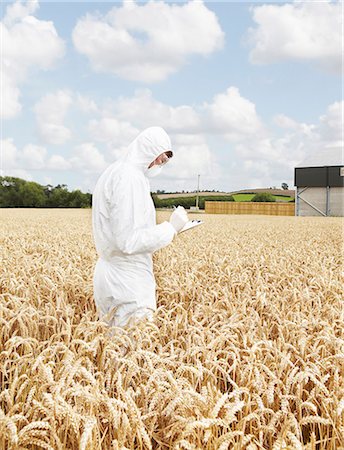 scientist clipboard - Scientist examining grains in crop field Foto de stock - Sin royalties Premium, Código: 649-06401251