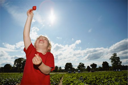 people growth - Boy holding strawberry in field Stock Photo - Premium Royalty-Free, Code: 649-06401297