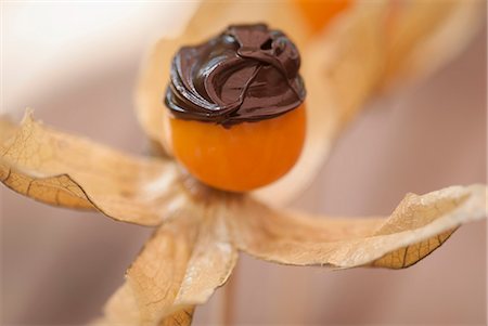 Chocolate on flower fruit Foto de stock - Sin royalties Premium, Código: 649-06432643