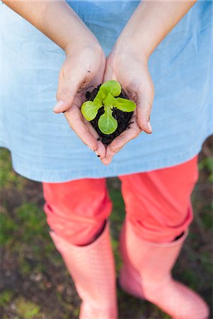 spring - Woman holding sprout in dirt Stock Photo - Premium Royalty-Free, Code: 649-06432665