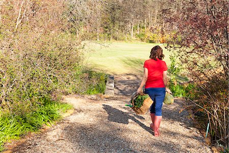 Woman carrying basket of plants outdoors Stock Photo - Premium Royalty-Free, Code: 649-06432668