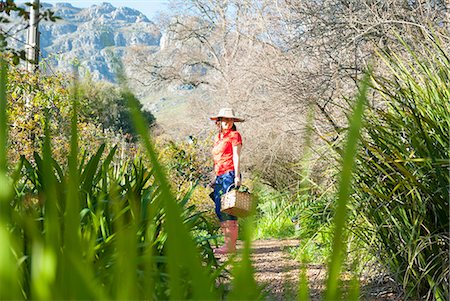 franschhoek - Woman carrying basket outdoors Foto de stock - Sin royalties Premium, Código: 649-06432675
