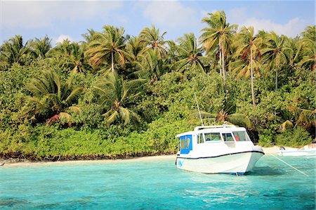 Boat docked on tropical beach Foto de stock - Sin royalties Premium, Código: 649-06432688